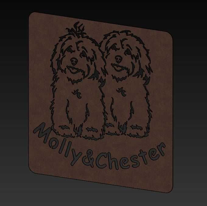 ����������Ī��\u0026Chester