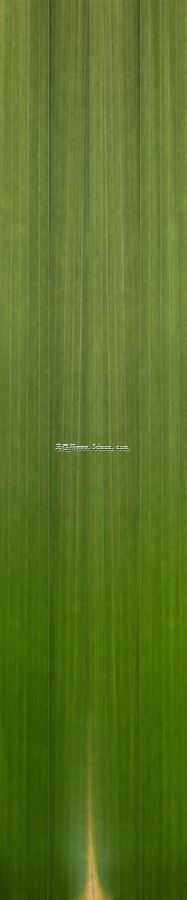 桑拿浴房