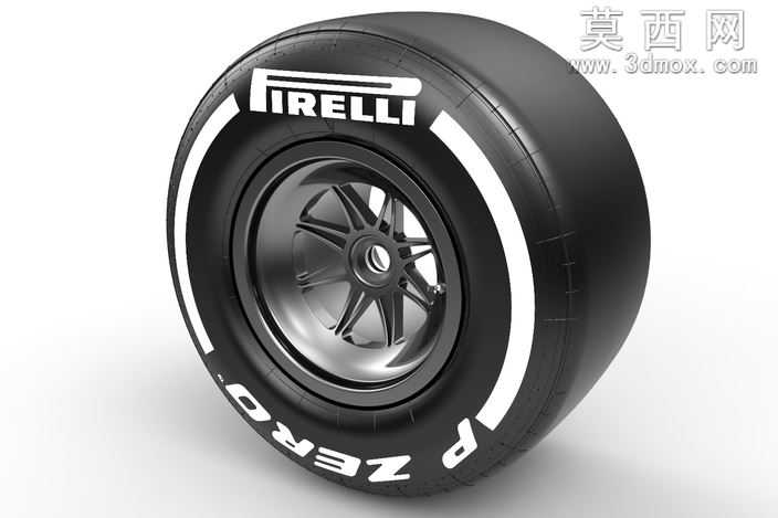 F12013轮胎干轨道245/660-13(前面)