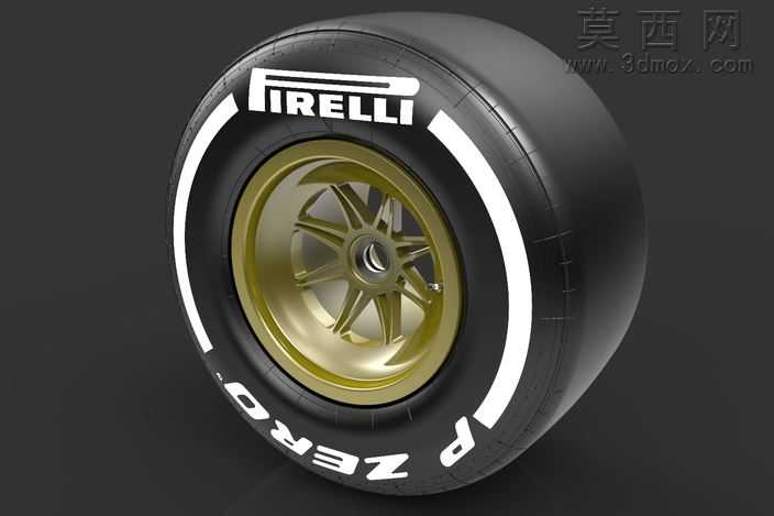 F12013轮胎干轨道245/660-13(前面)