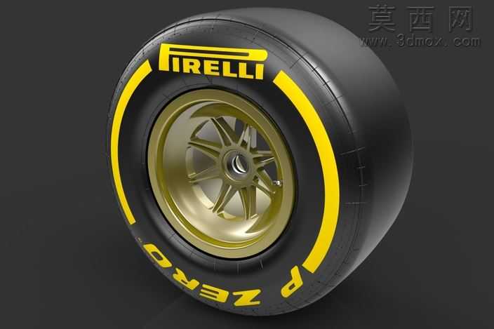 F12013轮胎干轨道245/660-13(前面)