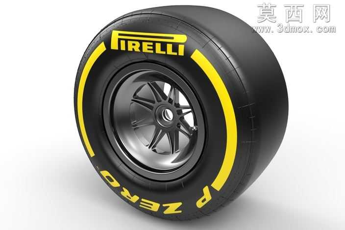 F12013轮胎干轨道245/660-13(前面)