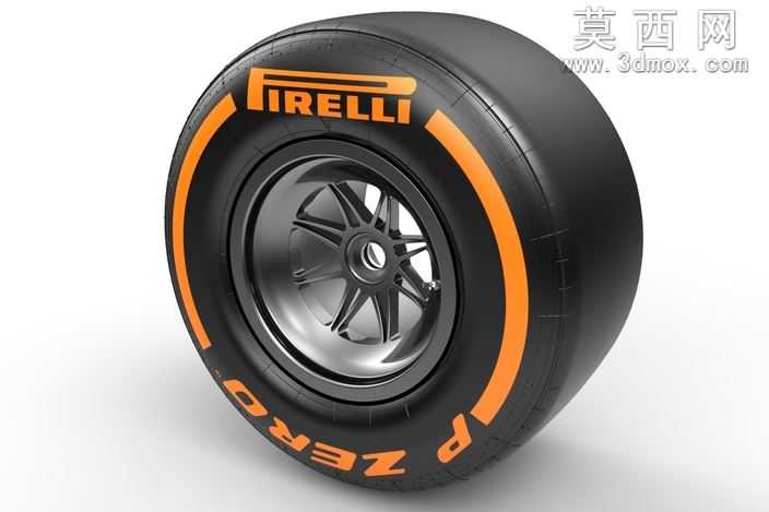 F12013轮胎干轨道245/660-13(前面)