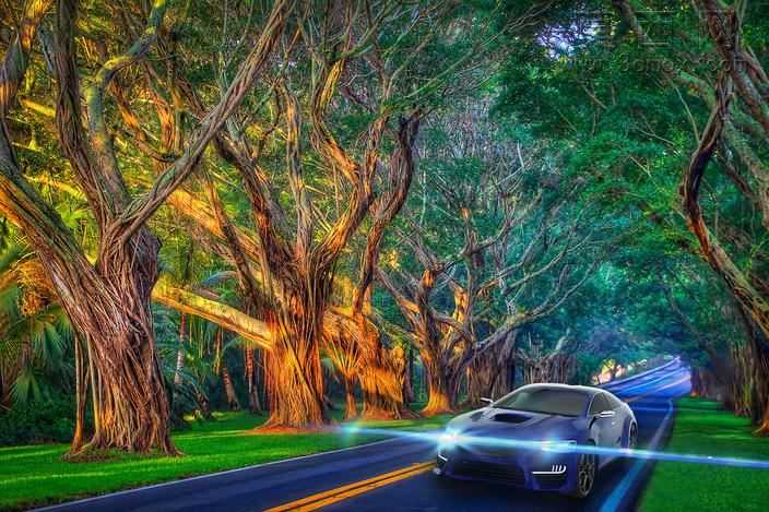 ˹��³WRX����
