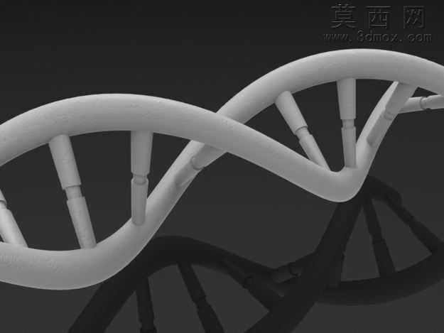 DNA��
