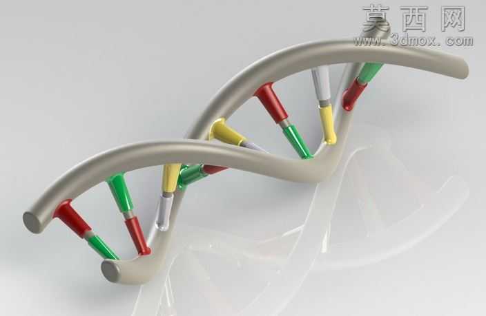 DNA��
