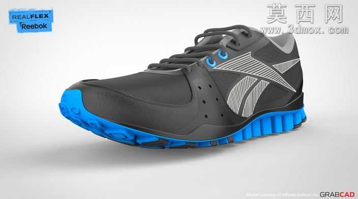 ��RealFlex��ݼ�����
