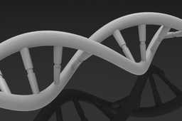 DNA��
