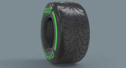 F1 2015�м���̥245/670-13��ǰ��