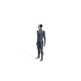 Corpo Humano Mangino