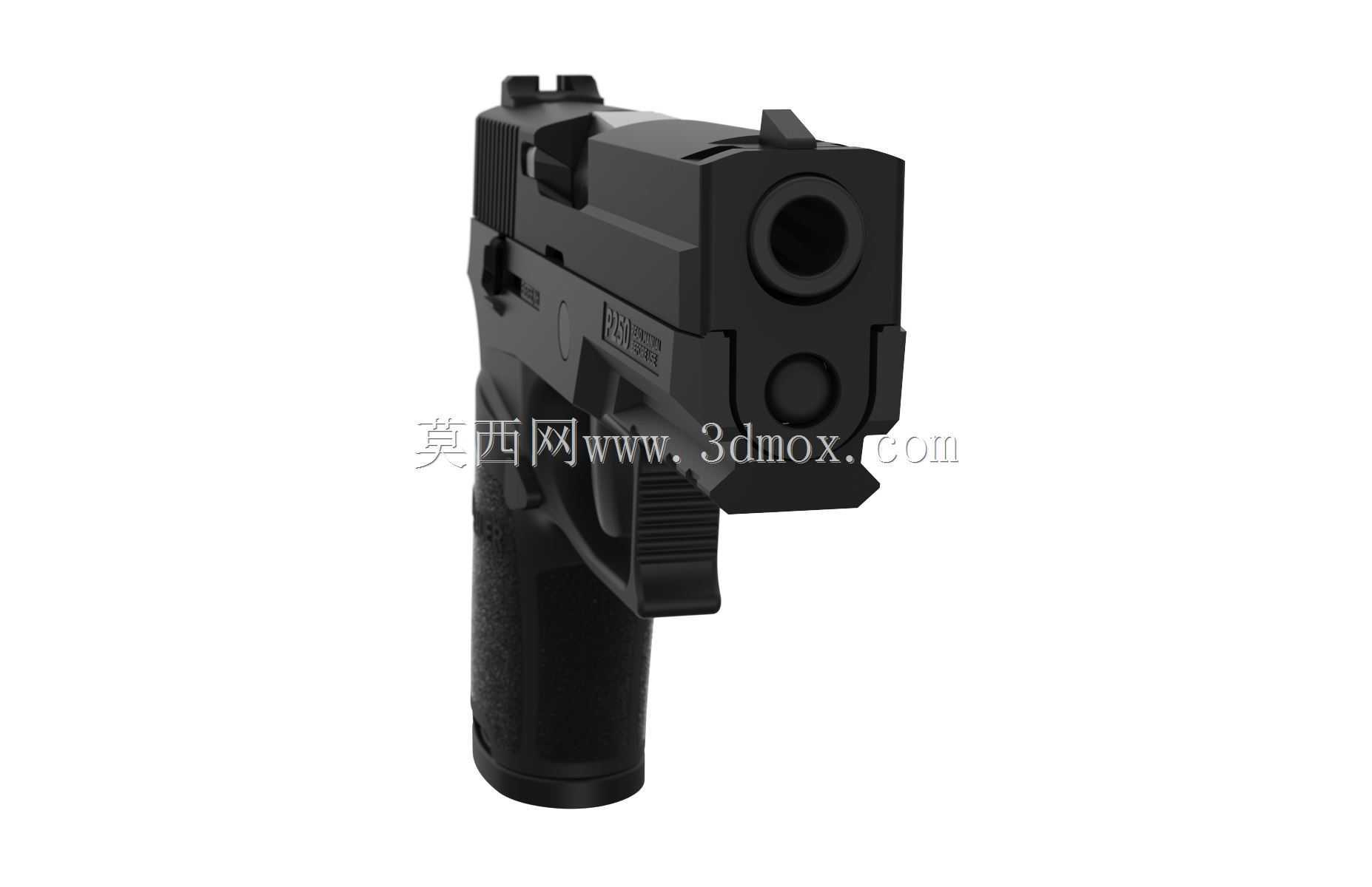 信号P250
