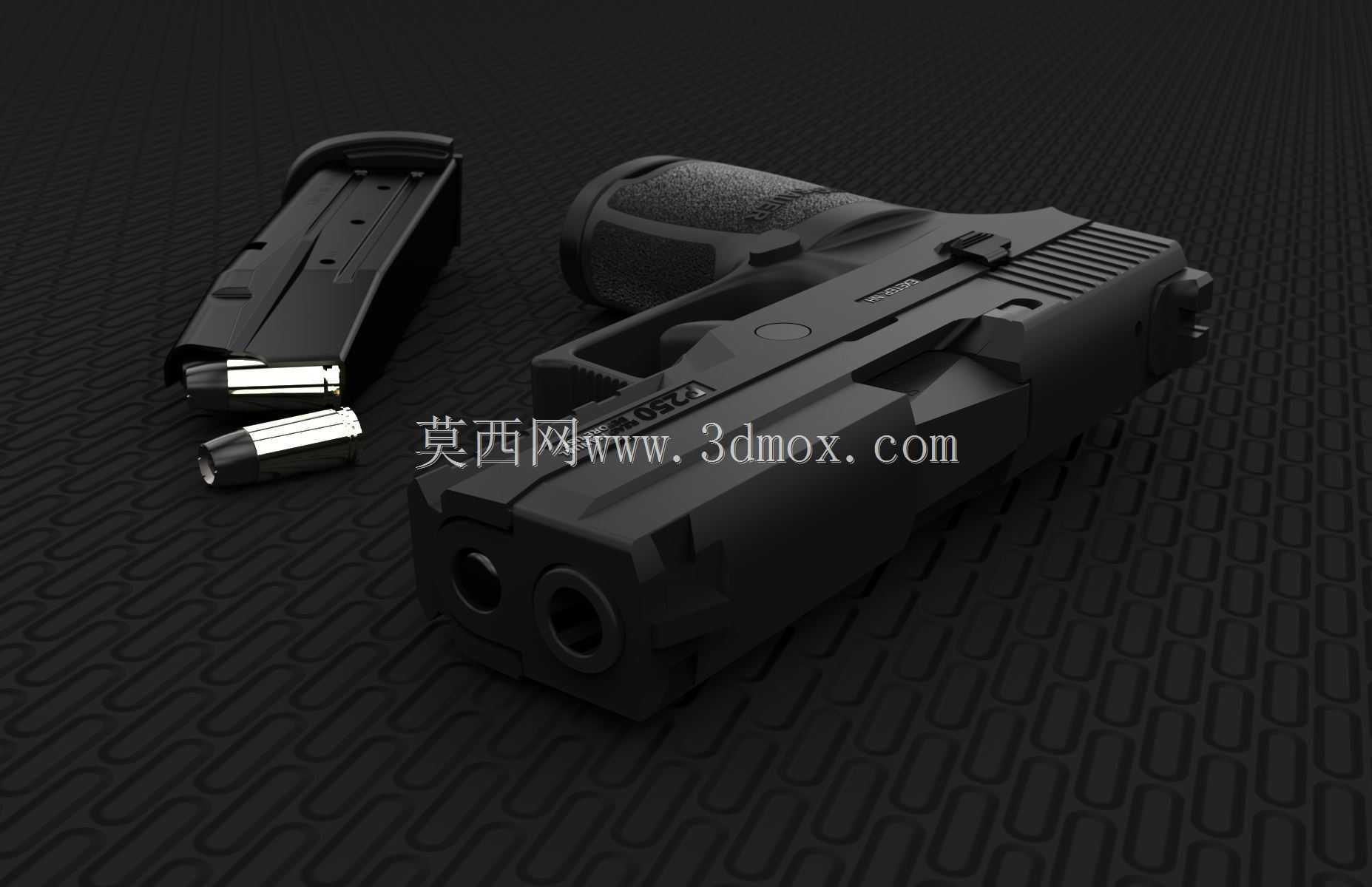 信号P250