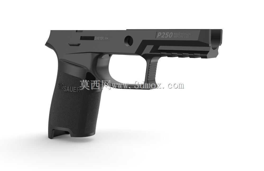 信号P250
