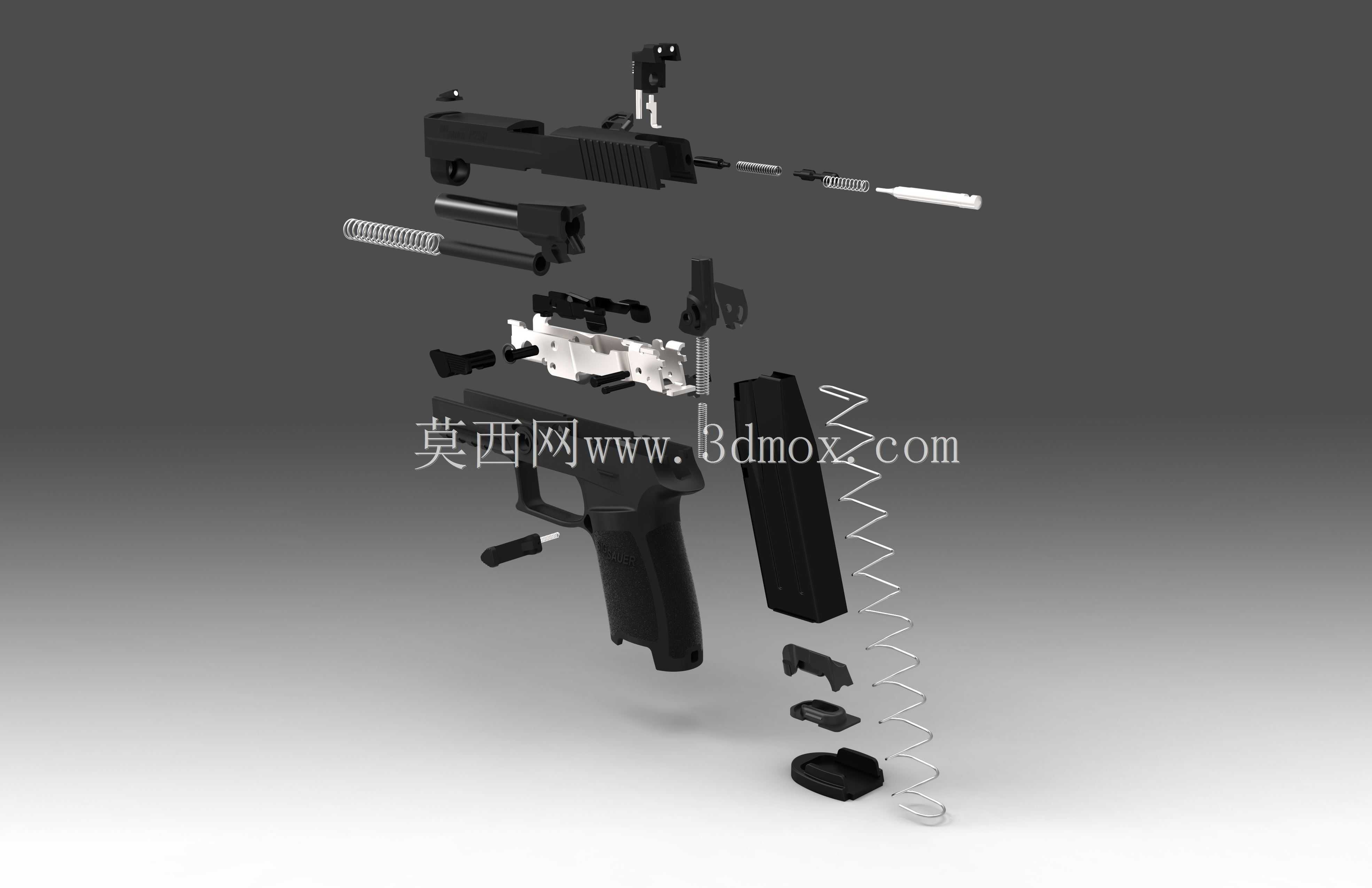信号P250