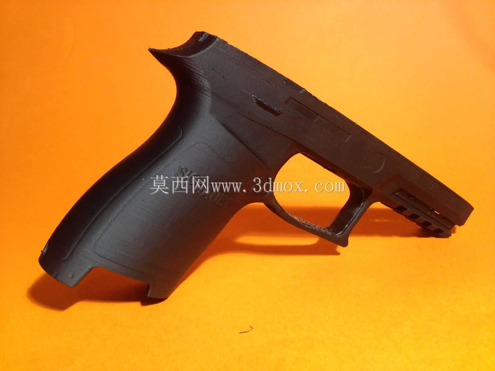 信号P250