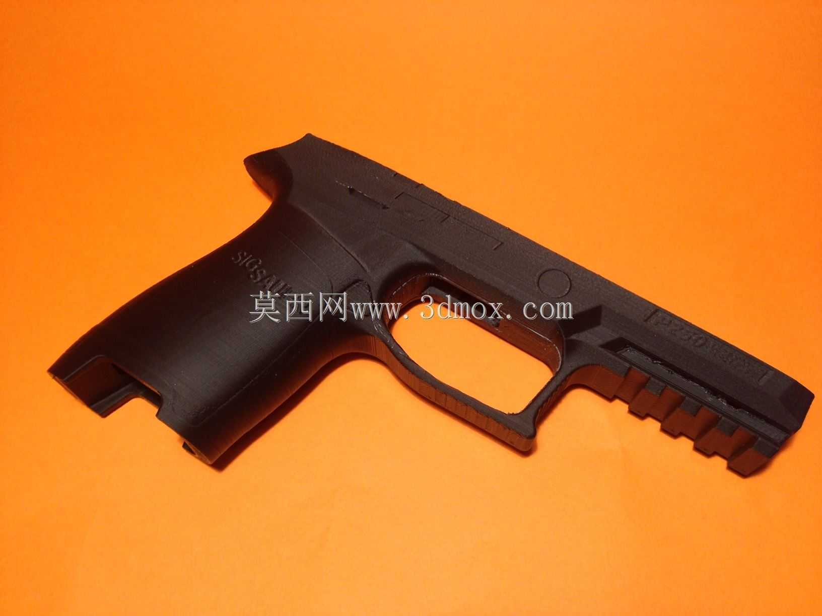 信号P250