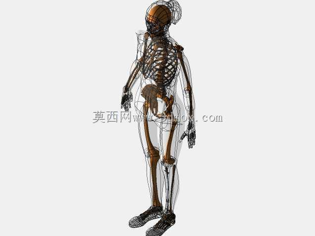 胫骨髓内钉