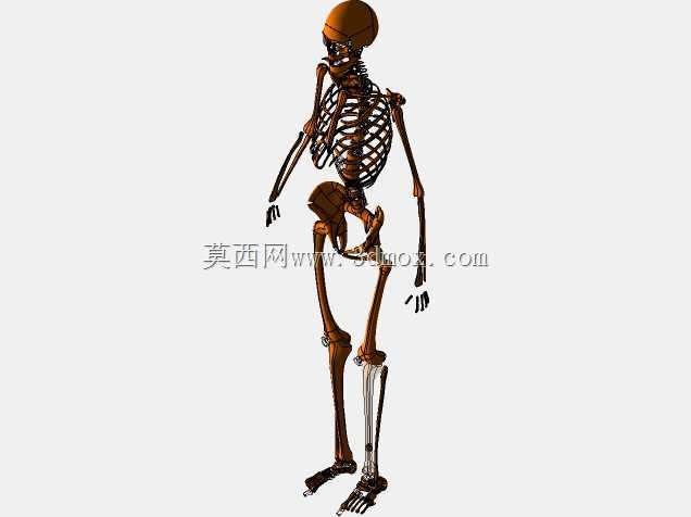 胫骨髓内钉