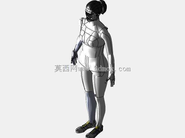 胫骨髓内钉