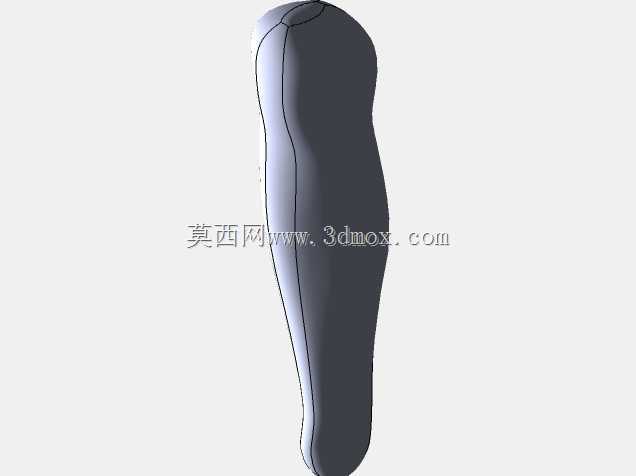 胫骨髓内钉