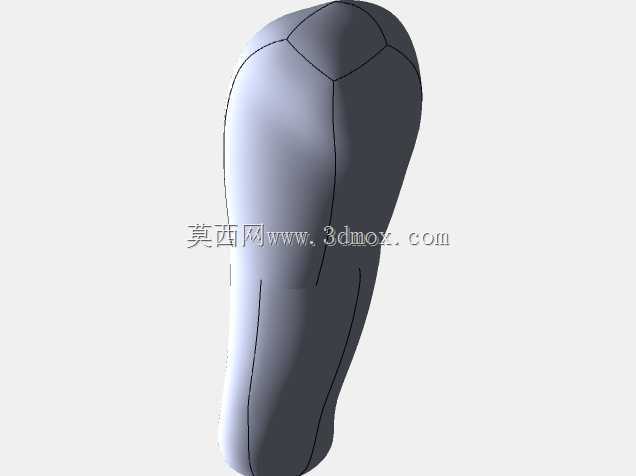 胫骨髓内钉