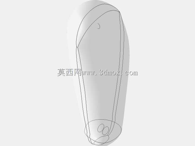胫骨髓内钉