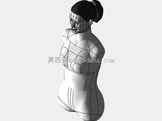 胫骨髓内钉