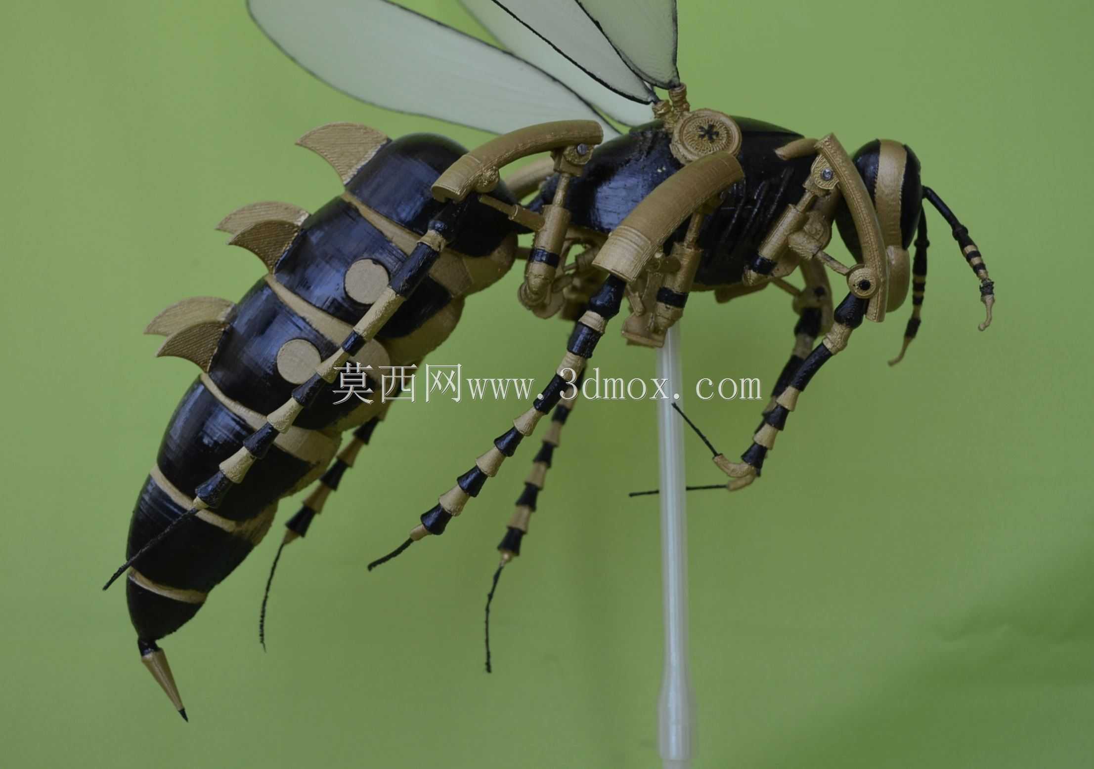��PARTsolutions�д�����Wasp