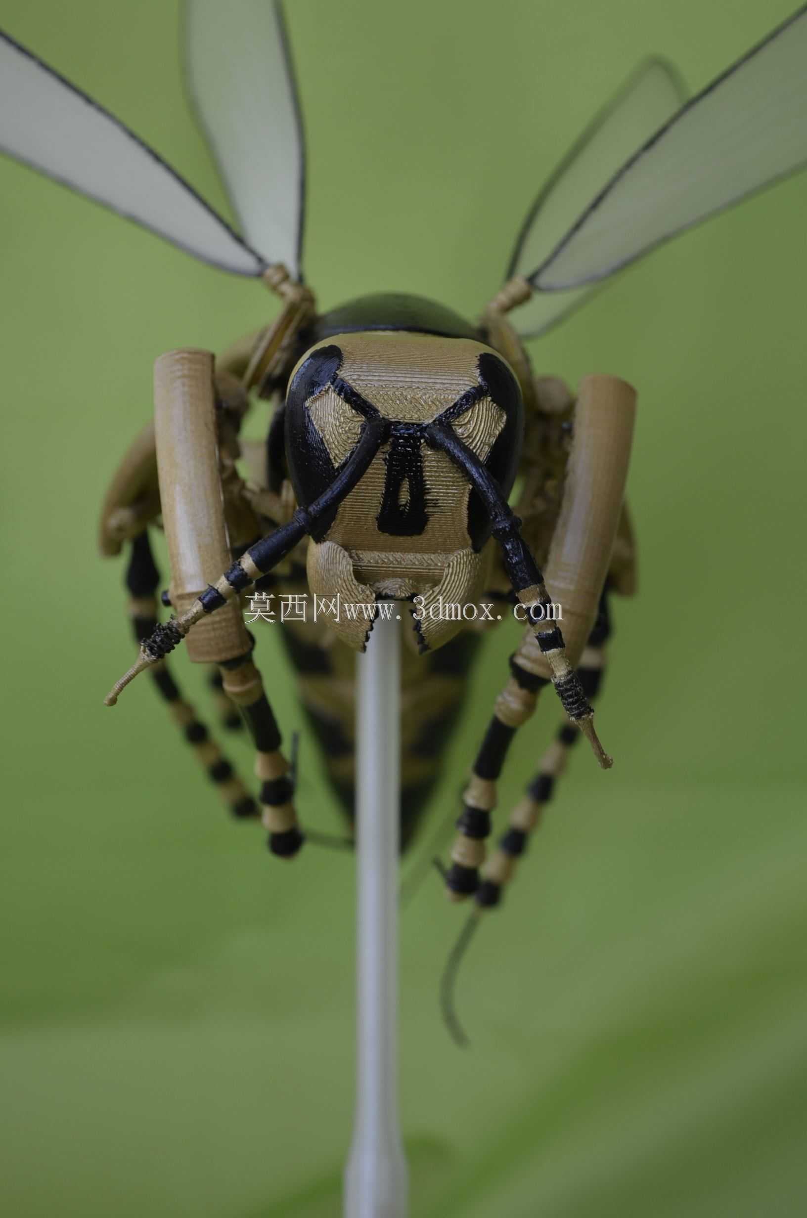 ��PARTsolutions�д�����Wasp