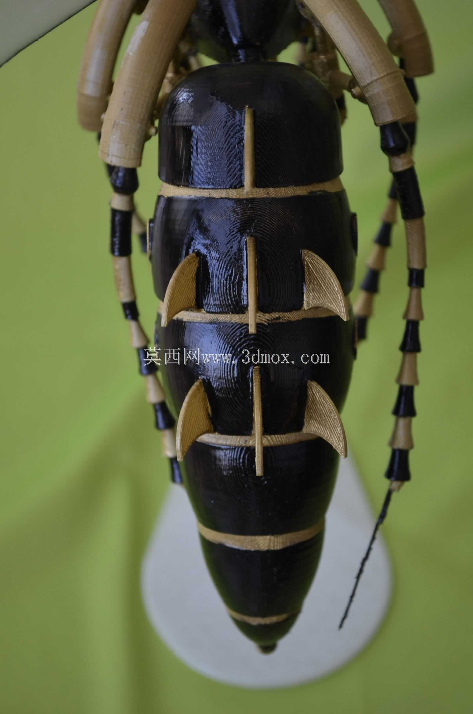 ��PARTsolutions�д�����Wasp