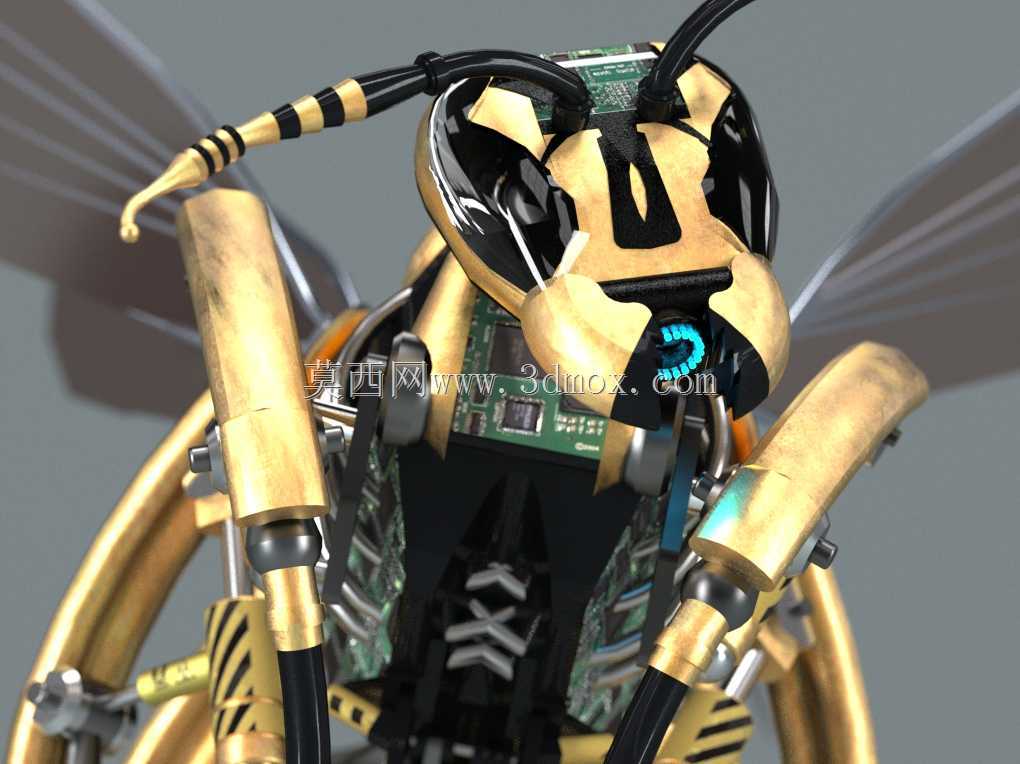 ��PARTsolutions�д�����Wasp