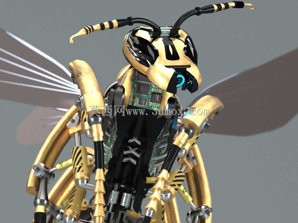 ��PARTsolutions�д�����Wasp