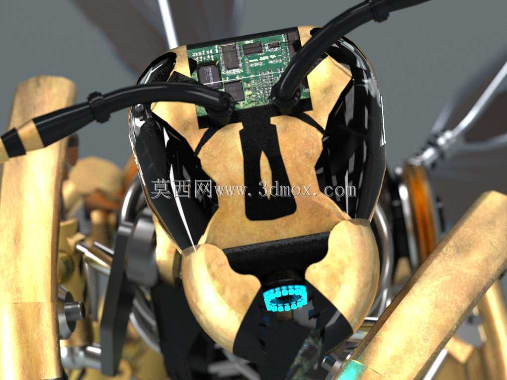 ��PARTsolutions�д�����Wasp