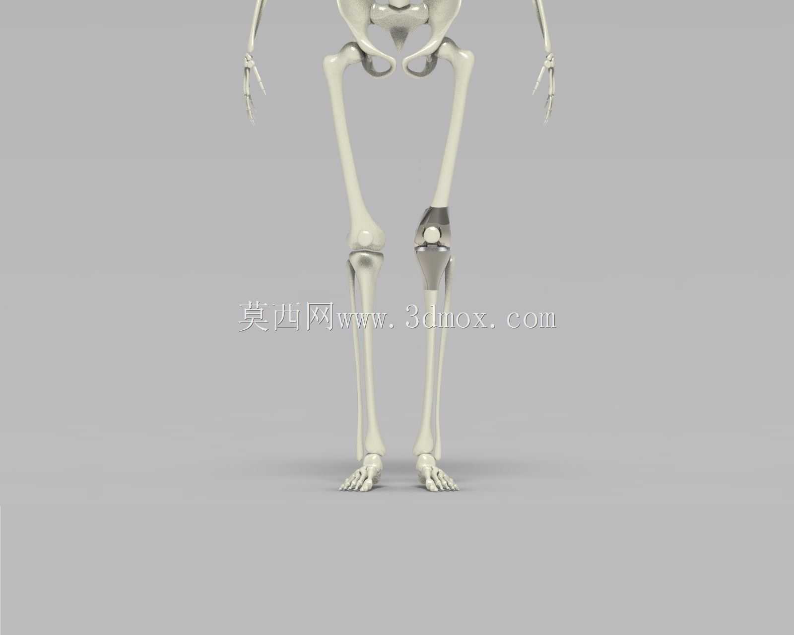 ϥ�ؽ���������