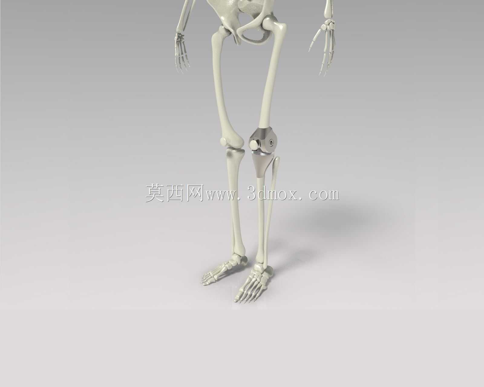 ϥ�ؽ���������