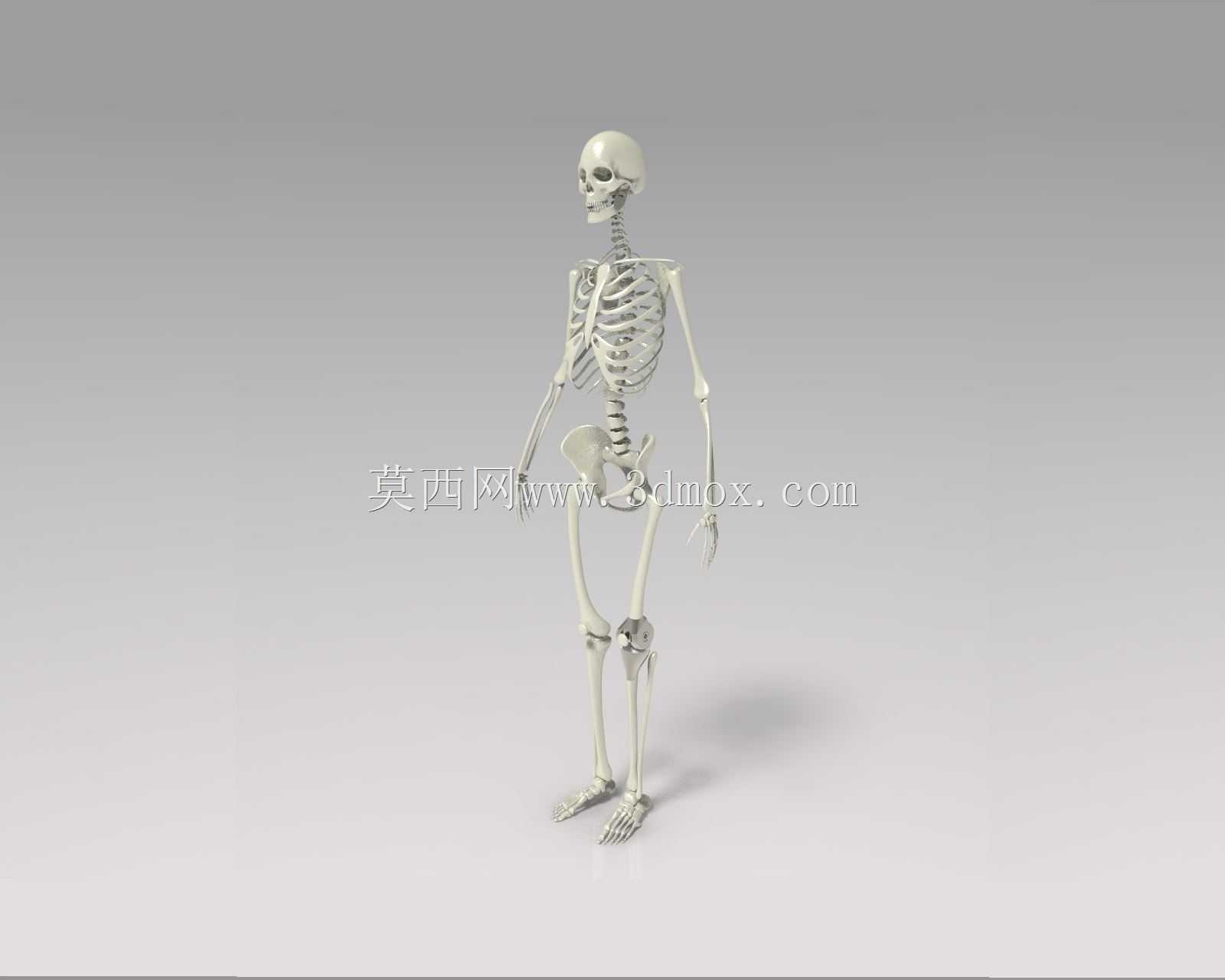 ϥ�ؽ���������