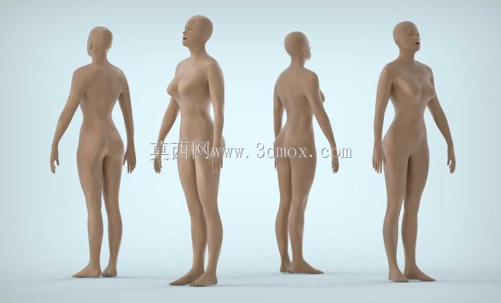 女性人体
