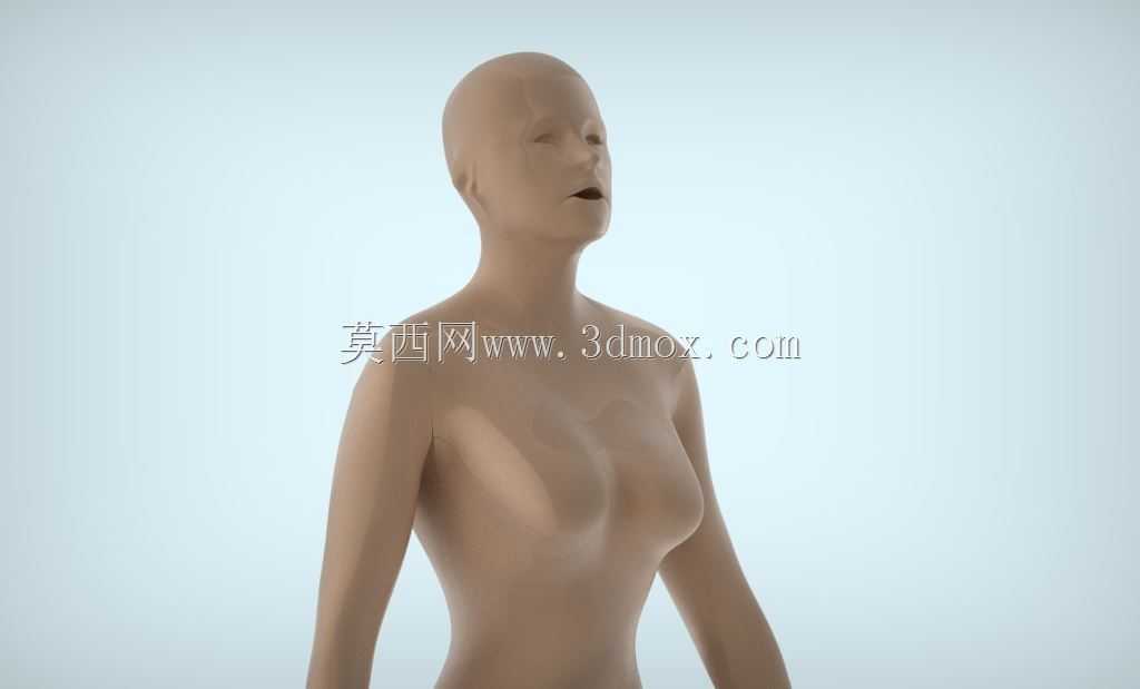 女性人体