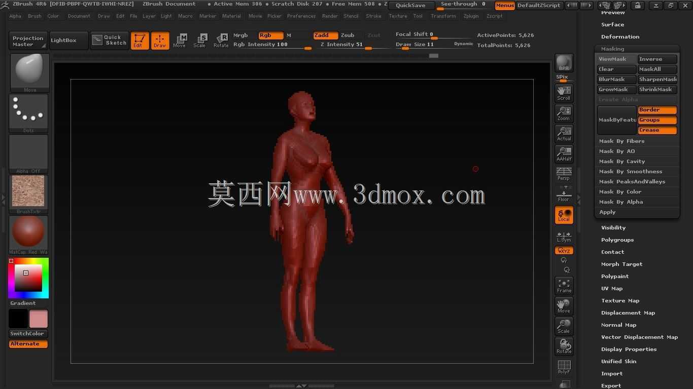 女性人体