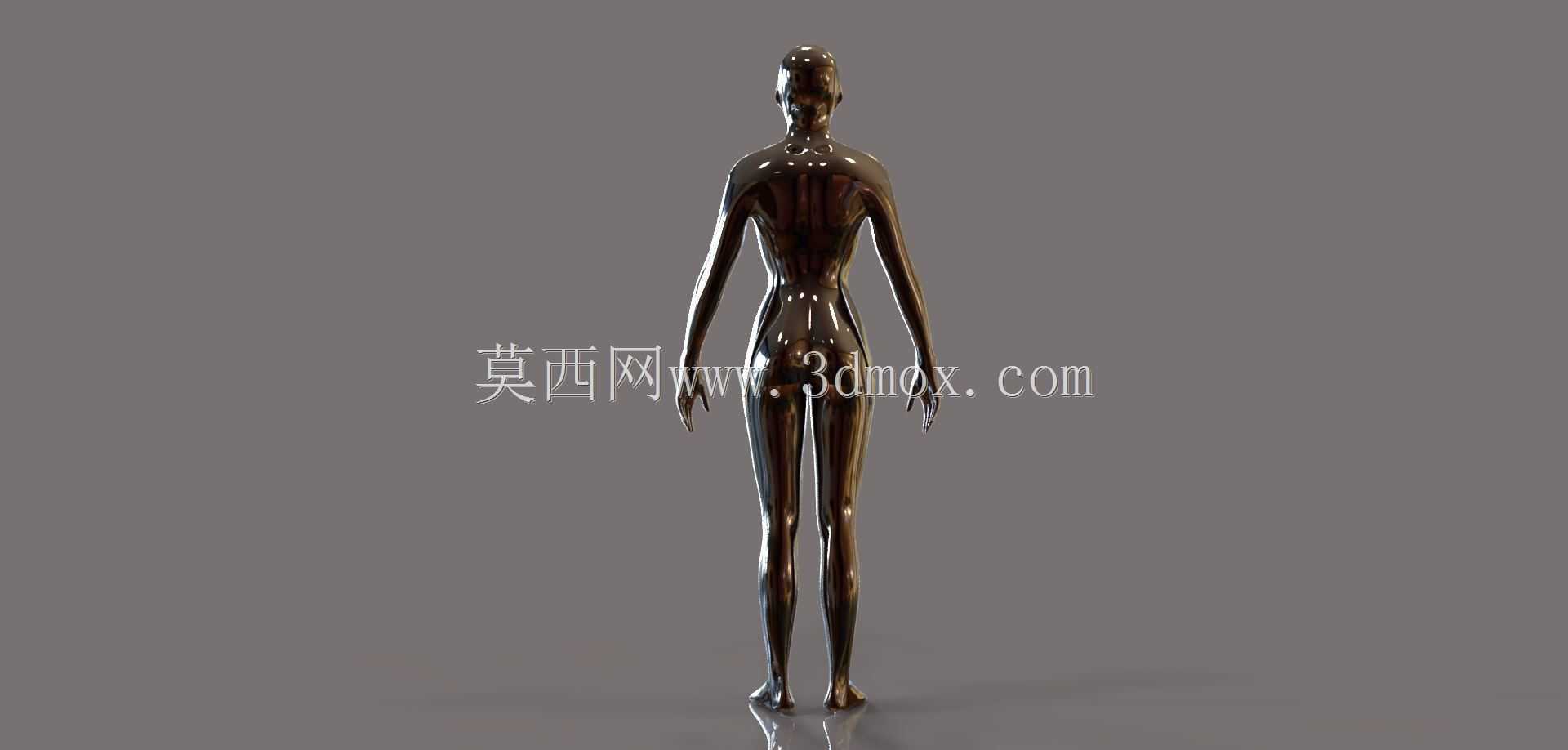 女性人体