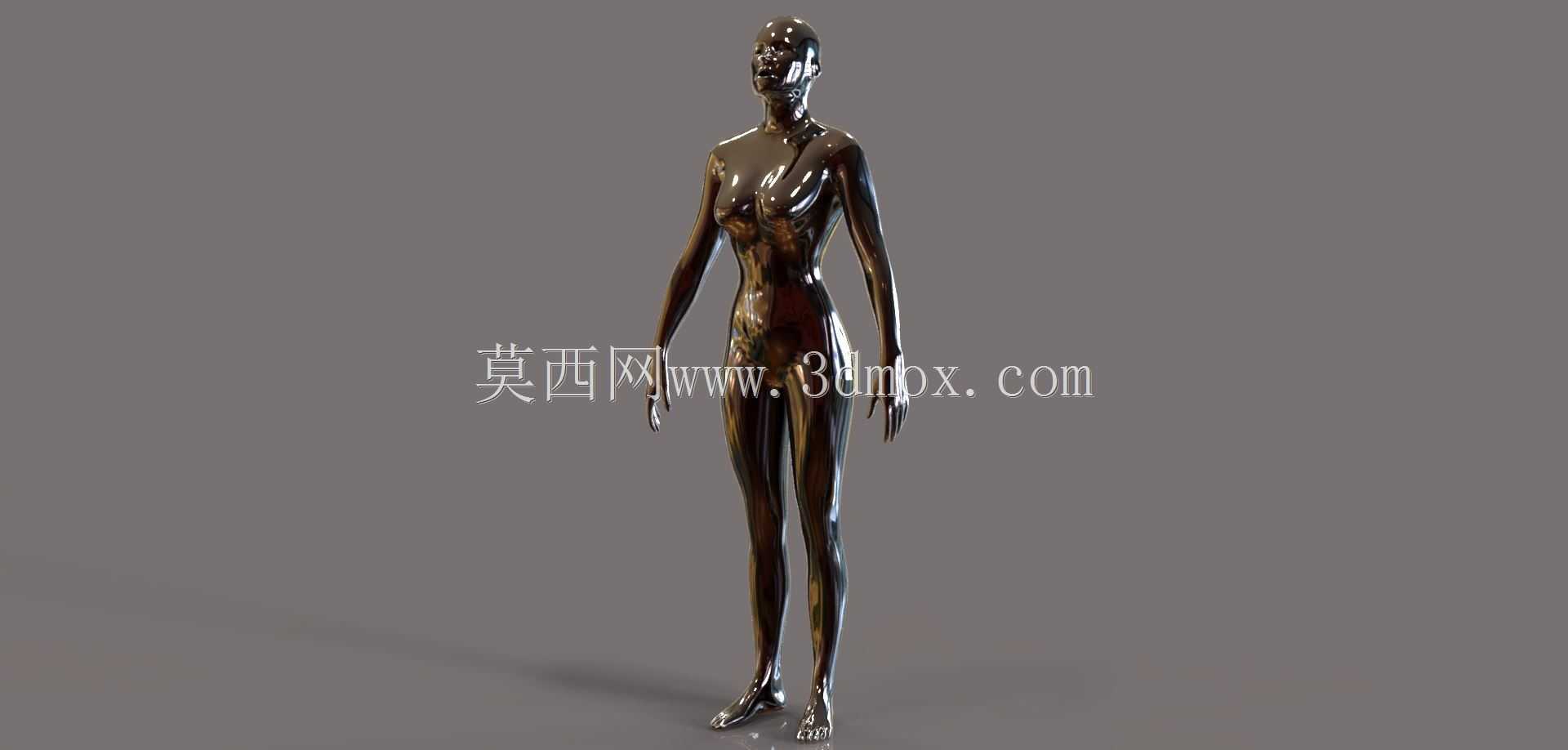 女性人体