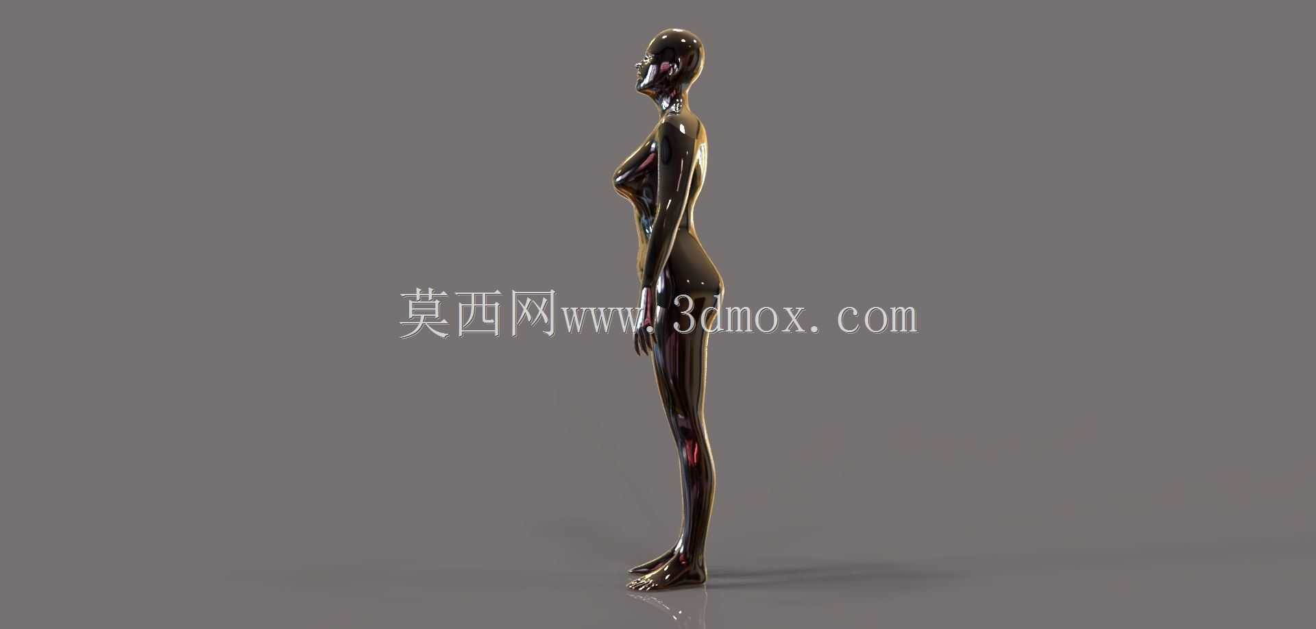 女性人体