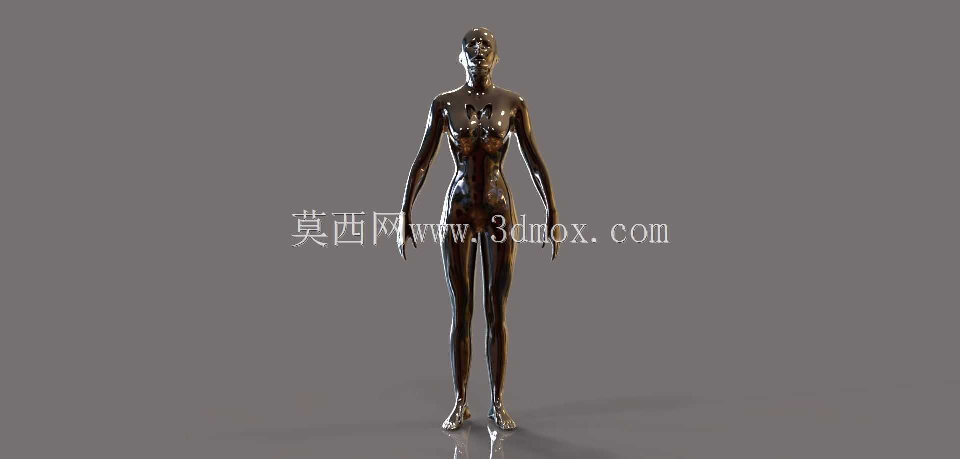 女性人体