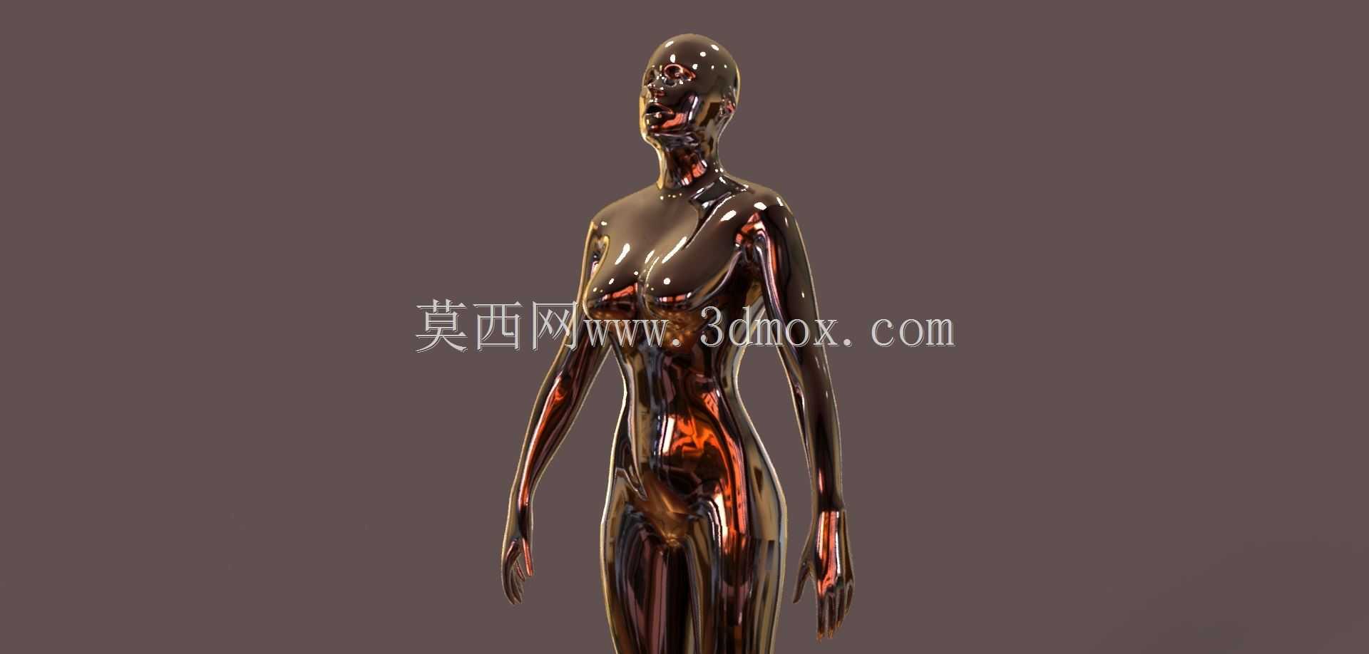 女性人体