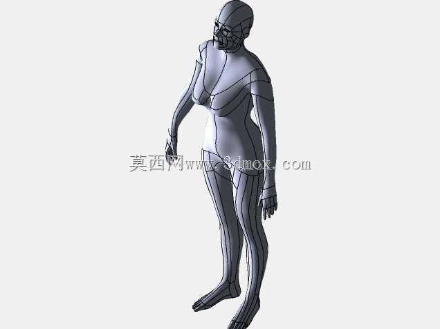 女性人体