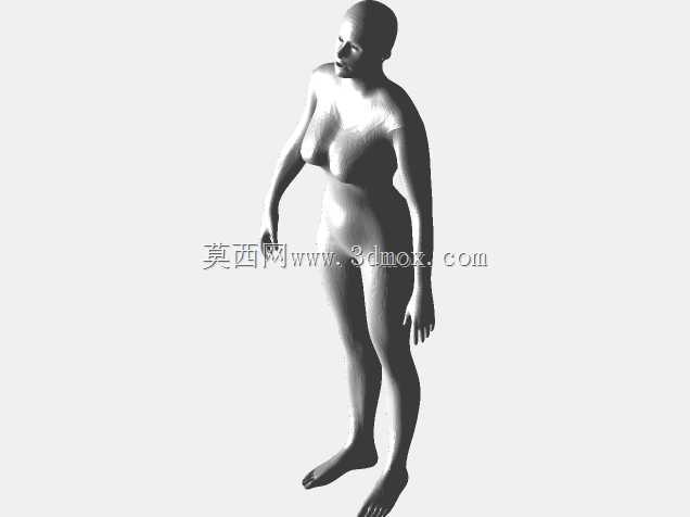 女性人体