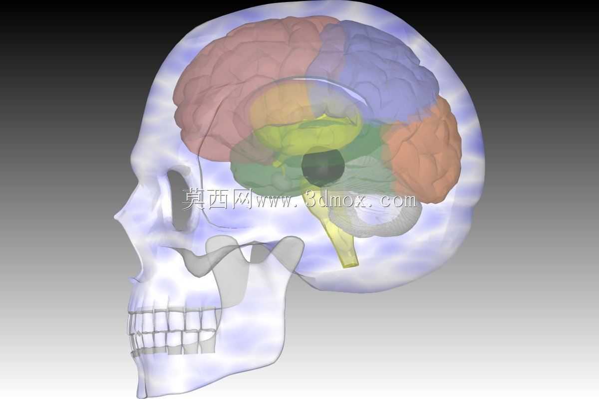 ���Եĺ���״Ѫ����\u0026 Autocad 3D�е�­��