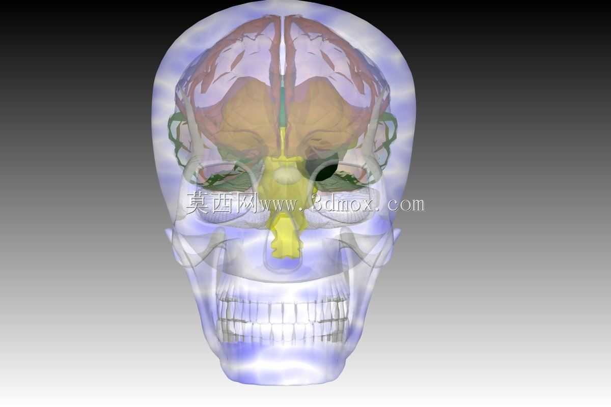 ���Եĺ���״Ѫ����\u0026 Autocad 3D�е�­��