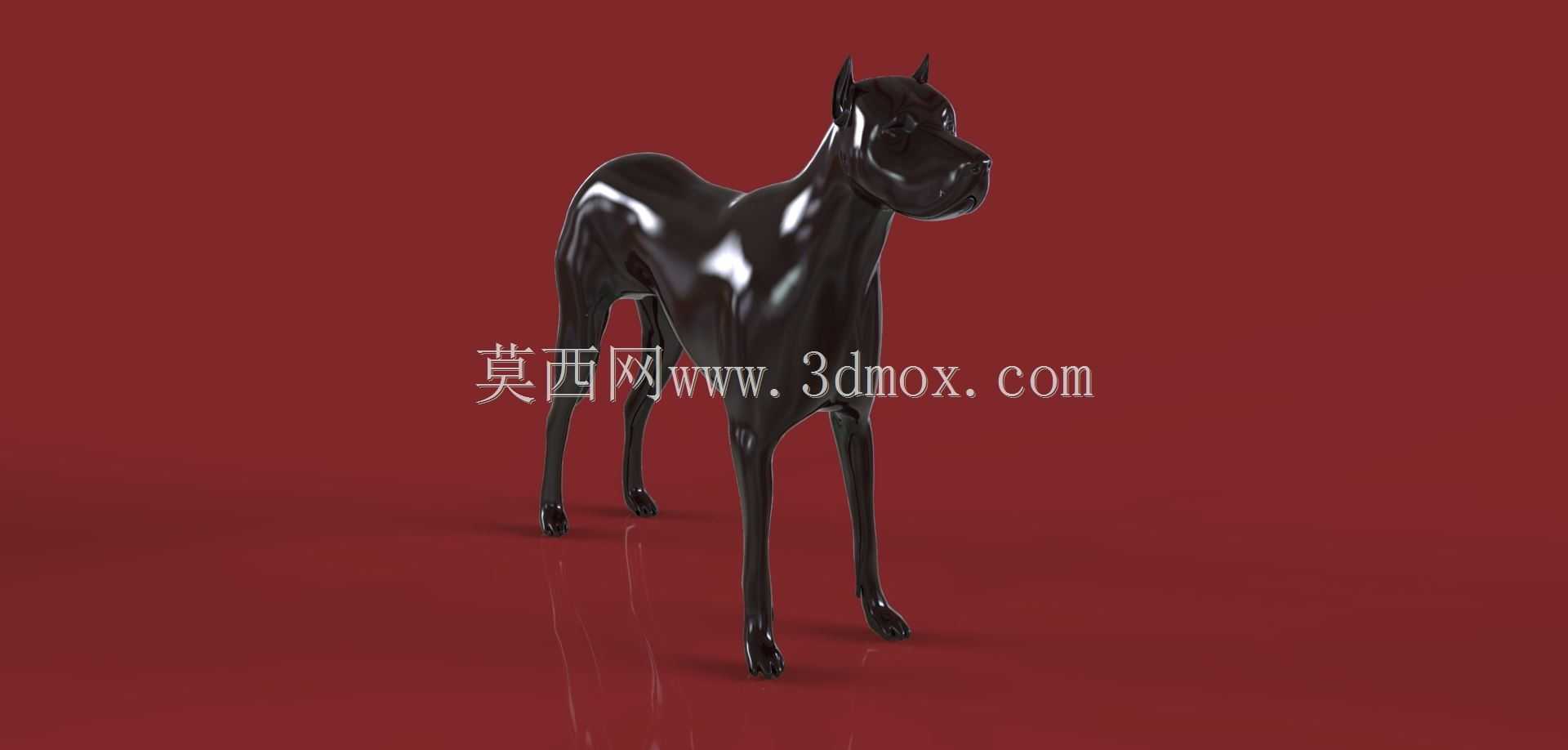艾沃·阿尔贝蒂的狗
