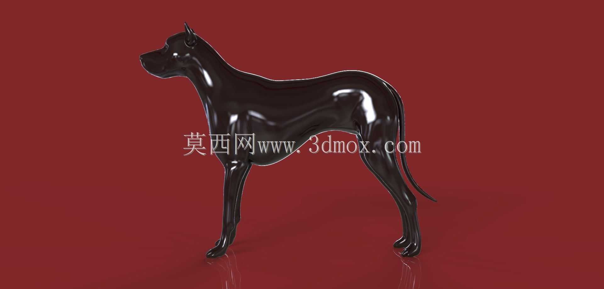 艾沃·阿尔贝蒂的狗